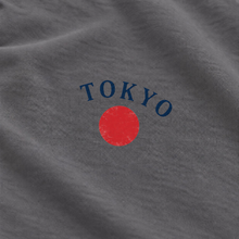 Tokyo Urban Heritage – Tradition Meets Tomorrow