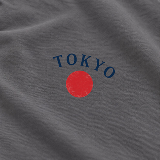 Tokyo Urban Heritage – Tradition Meets Tomorrow