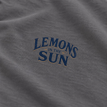 Lemons in the Sun – Golden Citrus