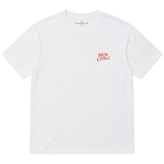 Sun and Citrus – Oranges Ocean Summer